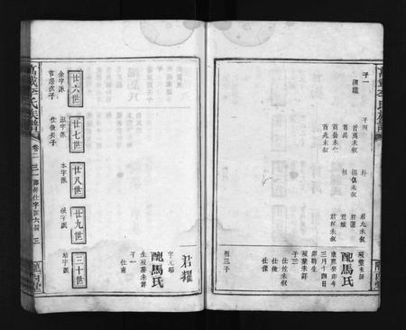 江西、福建李氏族谱-万载李氏族谱 [残卷].pdf电子版插图4