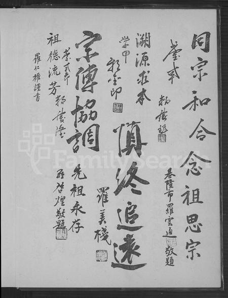 广东罗氏族谱-赖罗傅联宗大族谱.pdf电子版插图4