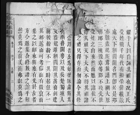江西、广东、福建王氏族谱-王氏族谱 [8卷,首1卷].pdf电子版插图4