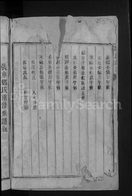 广东郑氏族谱-郑氏族谱 [不分卷].pdf电子版插图4
