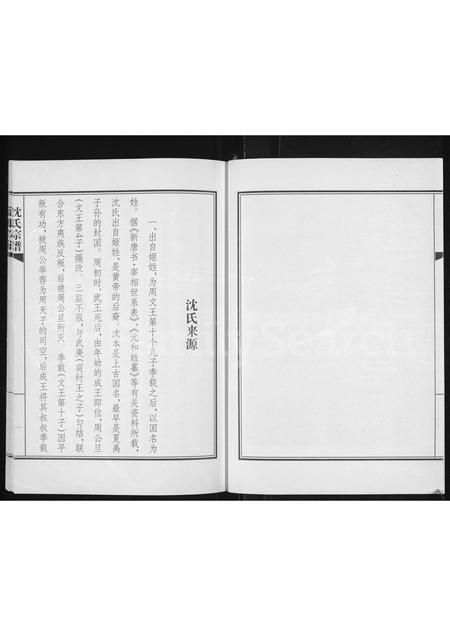 海宁沈氏族谱-沈氏宗谱(别名：沈氏家谱 ： 浙江海宁许村郁家港).pdf电子版插图4