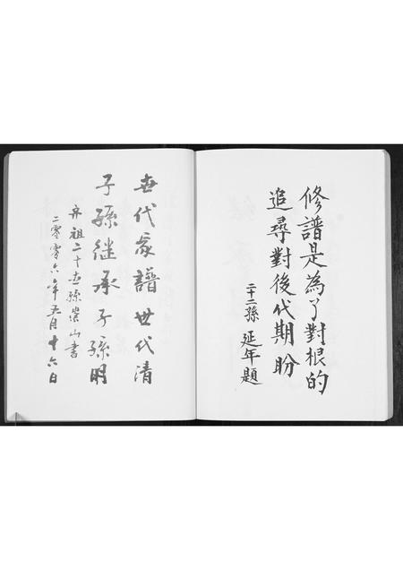安徽丁氏族谱-丁氏宗谱[不分卷].pdf电子版插图4