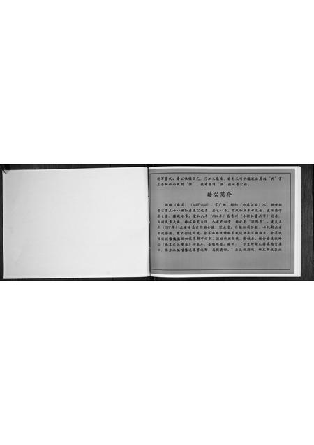 安徽洪氏族谱-洪氏宗谱.pdf电子版插图4