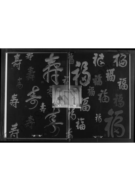 福建陈氏族谱-厦门陈氏 [不分卷].pdf电子版插图4