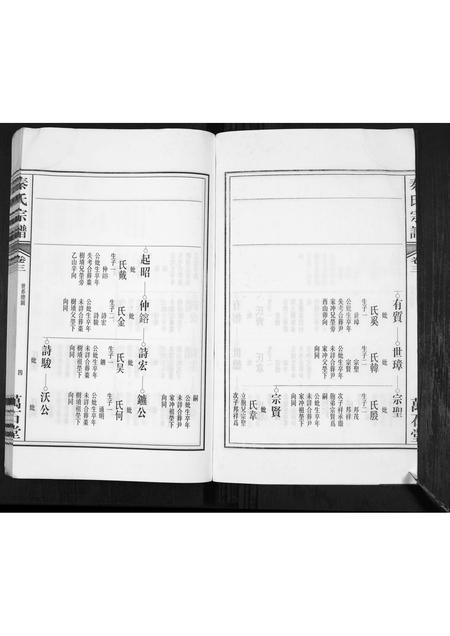 安徽秦氏族谱-秦氏宗谱.pdf电子版插图4