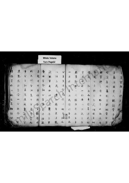 安徽汪氏族谱-汪氏渊源录 [10卷].pdf电子版插图4