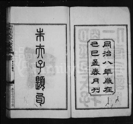 安徽胡氏族谱-明经胡氏存仁堂支谱[4卷首1卷].pdf电子版插图4