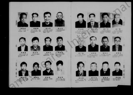 安徽胡氏族谱-胡氏家谱.pdf电子版插图4
