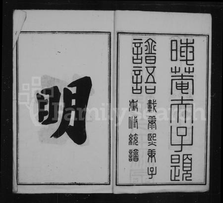 安徽胡氏族谱-西递明经胡氏壬派宗谱 [12卷].pdf电子版插图4