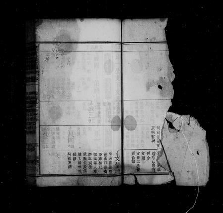 安徽蒋氏族谱-蒋氏宗谱 [36卷].pdf电子版插图4