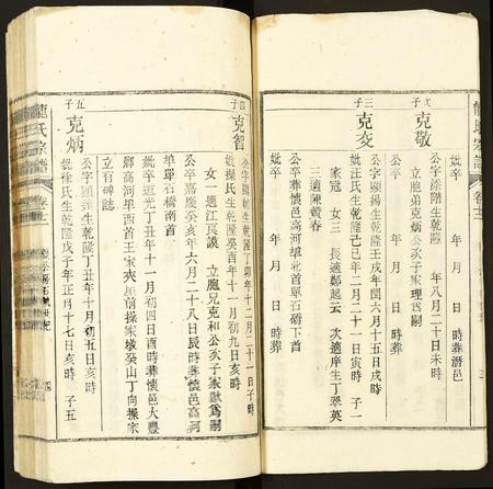 安徽龙氏族谱-龙氏宗谱.pdf电子版插图4