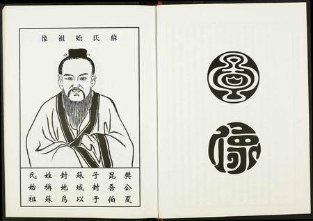 安徽苏氏族谱-阜阳苏氏族谱.pdf电子版插图4