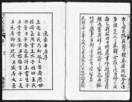 安徽王氏族谱-柳林王氏宗谱[14卷首末各1卷].pdf电子版插图4