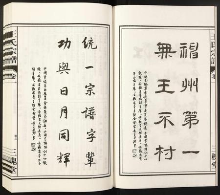 安徽王氏族谱-王氏宗谱.pdf电子版插图4