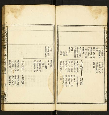 安徽王氏族谱-王氏宗谱.pdf电子版插图4