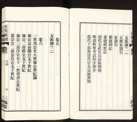 安徽王氏族谱-王氏族谱.pdf电子版插图4