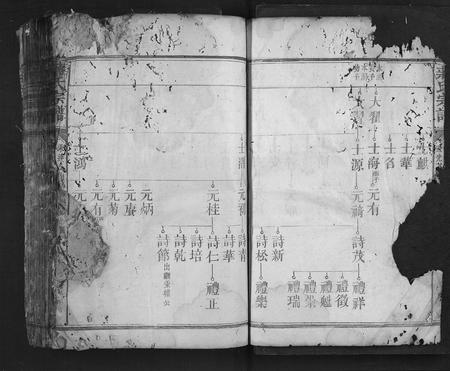 福建蒋氏族谱-蒋氏宗谱.pdf电子版插图4 福建蒋氏族谱-蒋氏宗谱.pdf电子版插图4