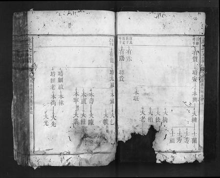 福建蒋氏族谱-蒋氏宗谱.pdf电子版插图4 福建蒋氏族谱-蒋氏宗谱.pdf电子版插图4