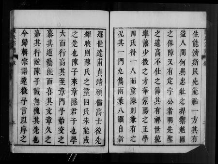 安徽陈氏族谱-藤溪陈氏宗谱.pdf电子版插图4
