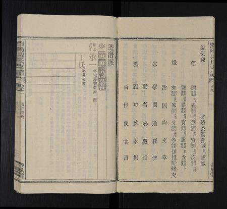 安徽程氏族谱-程氏族谱 [16卷,首2卷,末1卷].pdf电子版插图4
