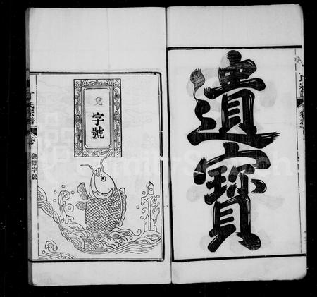 安徽丁氏族谱-龙山丁氏族谱 [12卷].pdf电子版插图4