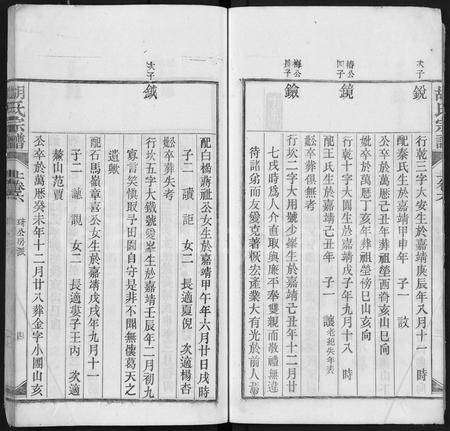 安徽胡氏族谱-胡氏宗谱 [上22卷,下4卷].pdf电子版插图4