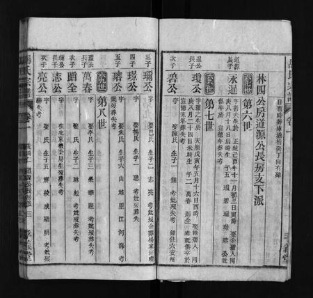 安徽胡氏族谱-胡氏宗谱 [按支分卷].pdf电子版插图4
