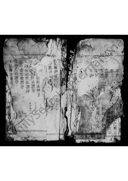 安徽金氏族谱-京兆金氏支谱.pdf电子版插图4