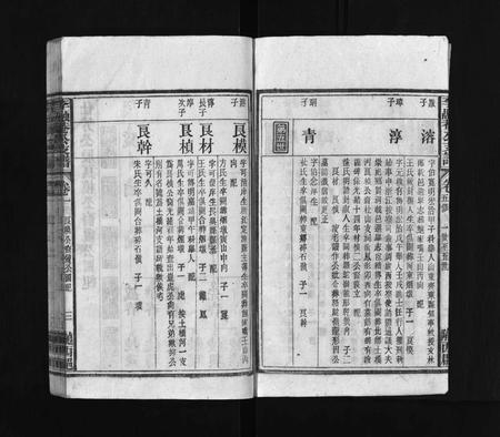 安徽李氏族谱-太湖李氏融庵公族谱 [9卷,首4卷].pdf电子版插图4
