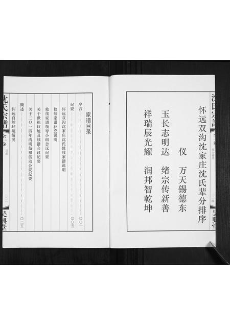 安徽沈氏族谱-沈氏宗谱[全1卷].pdf电子版插图4