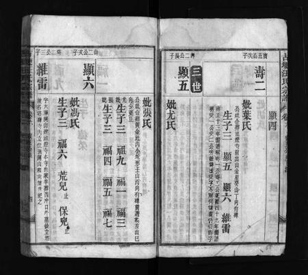 安徽汪氏族谱-古埂汪氏宗谱 [70卷].pdf电子版插图4