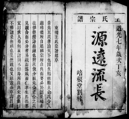 安徽王氏族谱-东楼王氏宗谱 [9卷].pdf电子版插图4