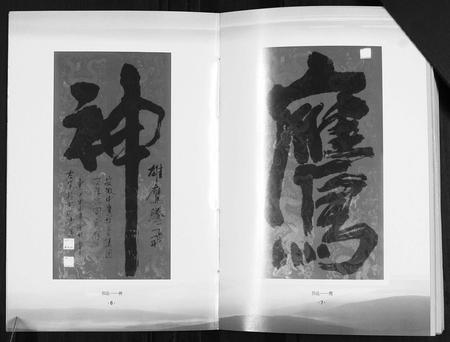 安徽韦氏族谱-临泉县韦应村韦氏谱志.pdf电子版插图4