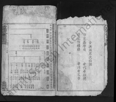 江西杨氏族谱-舍溪杨氏重修族谱 [不分卷].pdf电子版插图4
