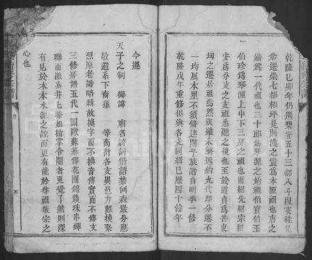 江西杨氏族谱-杨氏续修宗谱 [不分卷].pdf电子版插图4