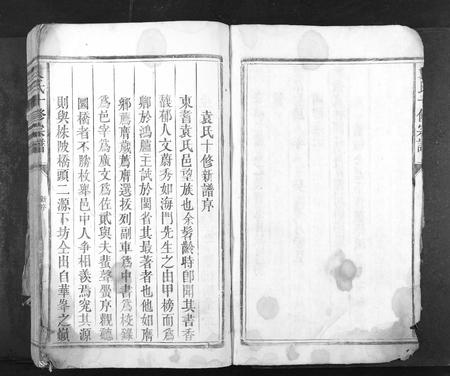 江西袁氏族谱-袁氏十修族谱[不分卷].pdf电子版插图4