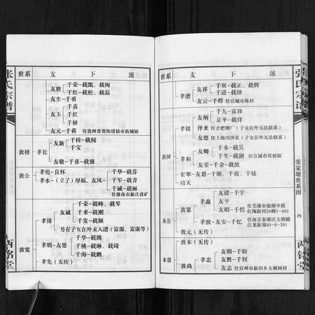安徽张氏族谱-张氏宗谱.pdf电子版插图4