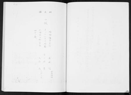 安徽张氏族谱-张氏家谱.pdf电子版插图4
