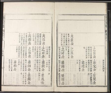 安徽张氏族谱-张氏家谱.pdf电子版插图4