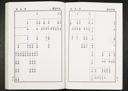 安徽张氏族谱-张氏家谱禄公支系.pdf电子版插图4