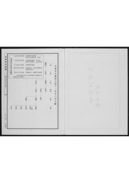 福建李氏族谱-芙蓉李氏族谱尚公派系.pdf电子版插图4