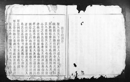 江西张氏族谱-南安四邑张续修族谱[不分卷].pdf电子版插图4