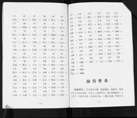 江西张氏族谱-张氏脉传家谱.pdf电子版插图4