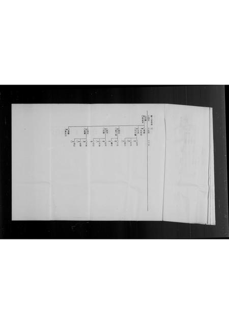 福建李氏族谱-泉州府双溪来台李氏家谱.pdf电子版插图4