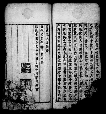安徽杨氏族谱-新安芳溪杨氏宗支录(休宁芳溪杨氏宗支录).pdf电子版插图4