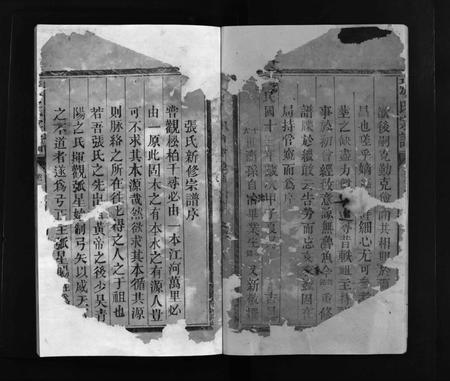 江西张氏族谱-张氏宗谱 [总卷数不详].pdf电子版插图4