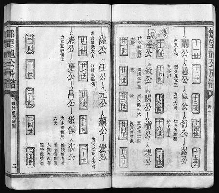 江西邹氏族谱-邹氏九修宗谱 [残卷](邹望龙公房谱).pdf电子版插图4