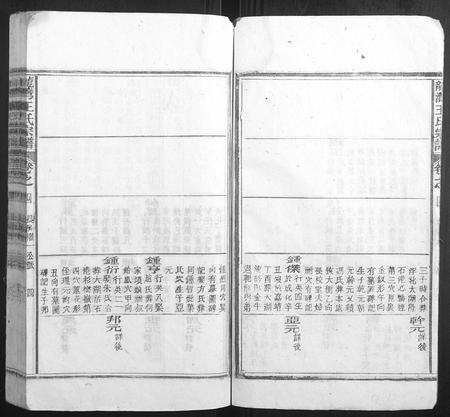 安徽王氏族谱-龙湾王氏宗谱.pdf电子版插图4