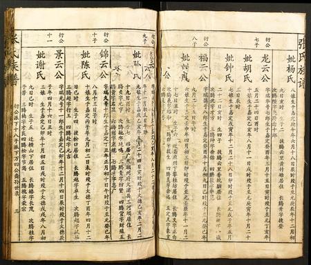 福建廖氏族谱-廖氏族谱.pdf电子版插图4