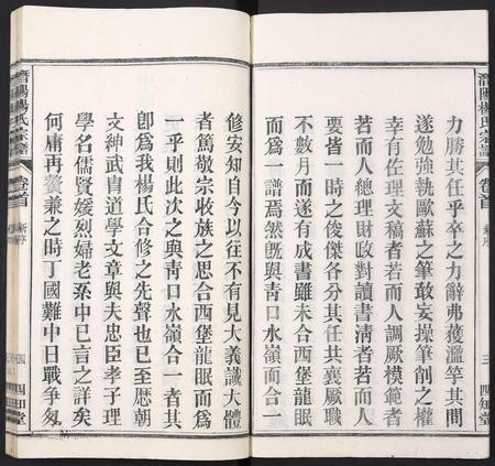 安徽杨氏族谱-潜阳杨氏宗谱.pdf电子版插图4